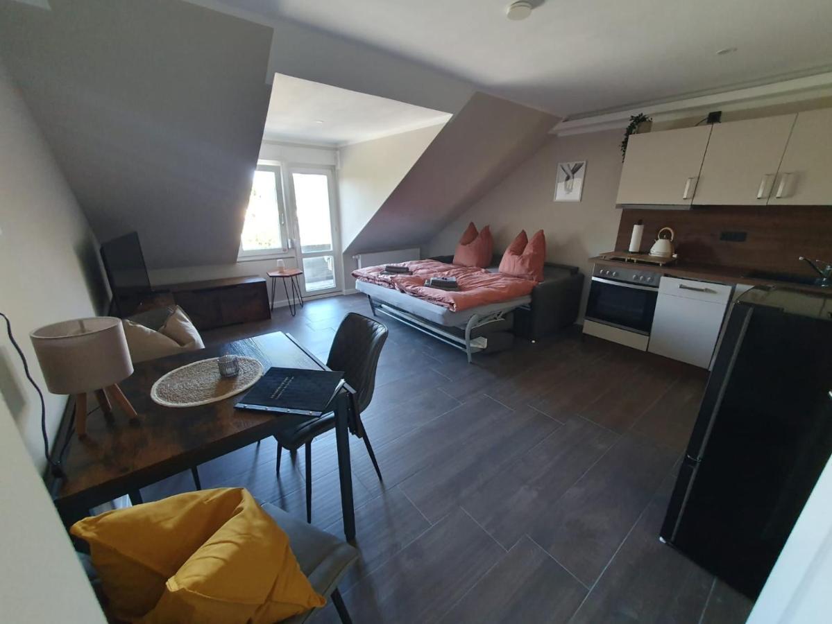 Neumuhler Hof: Ferienwohnung "Benjamin" mit Dachterrasse und Sonnenuntergang Schwerin  Exterior photo